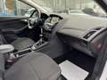 Ford Focus Focus 1.5 TDCi Business Class*12 MOIS DE GARANTIE* Weiß - thumbnail 7