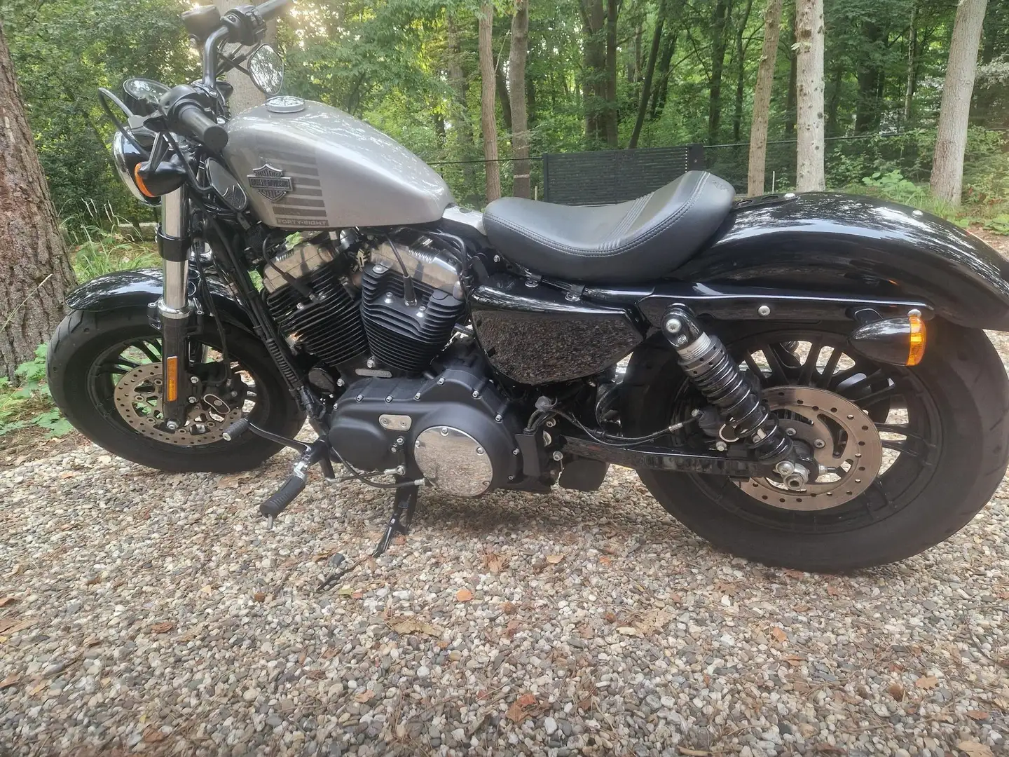 Harley-Davidson Sportster Forty Eight Серый - 1
