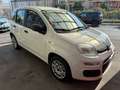Fiat Panda Panda III 2016 1.2 BENZINA - EURO6 Bianco - thumbnail 1