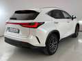 Lexus NX 200t NX II 2022 350h 2.5 Premium 4wd 244cv!PREZZO REALE Weiß - thumbnail 6