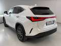 Lexus NX 200t NX II 2022 350h 2.5 Premium 4wd 244cv!PREZZO REALE Weiß - thumbnail 4