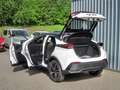 Toyota C-HR 2,0 Hybrid Lounge Panoramdach,neues Modell crna - thumbnail 4