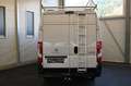 Peugeot Boxer Boxer 35+ L4H2 Doppelkabiner 6-Sitzer BlueHDi 1... Weiß - thumbnail 7