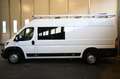 Peugeot Boxer Boxer 35+ L4H2 Doppelkabiner 6-Sitzer BlueHDi 1... Weiß - thumbnail 3