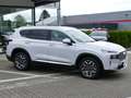 Hyundai SANTA FE 1.6 PHEV 4WD 7Sitzer Prime*AHK*360°KAMERA*LED* Weiß - thumbnail 3