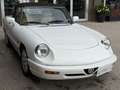 Alfa Romeo Spider 2.0 my90 km 58000 *********Nuovo********** Bianco - thumbnail 6