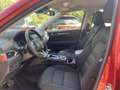 Mazda CX-5 SKYACTIV-D SCR 150 Aut. ADVANTAGE Rot - thumbnail 10