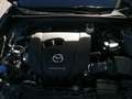 Mazda CX-30 CX-30 2.0 m-hybrid Homura 2wd 150cv 6mt Grigio - thumbnail 12