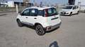 Fiat Panda 1.0FireFly HYBRID CROSS PRONTA CONSEGNA!!! Bianco - thumnbnail 5