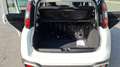 Fiat Panda 1.0FireFly HYBRID CROSS PRONTA CONSEGNA!!! Bianco - thumnbnail 11