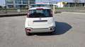 Fiat Panda 1.0FireFly HYBRID CROSS PRONTA CONSEGNA!!! Bianco - thumnbnail 6