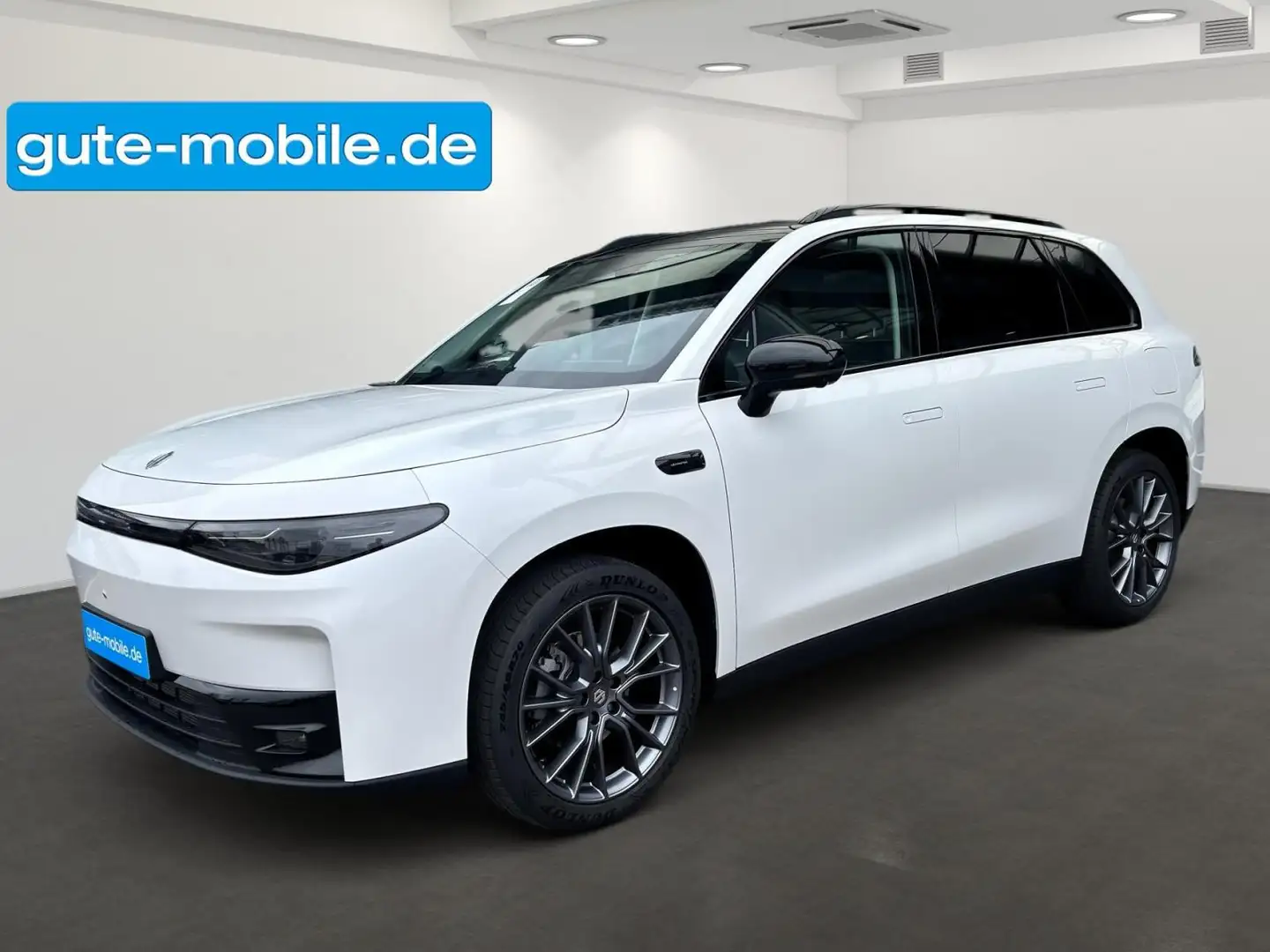 Leapmotor C10 ⚡DESIGN 800V⚡ Grün - 1