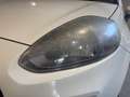Fiat Punto 1.4 natural power Street 70cv 5p METANO Bianco - thumbnail 6