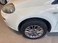 Fiat Punto 1.4 natural power Street 70cv 5p METANO Bianco - thumbnail 5