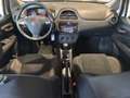 Fiat Punto 1.4 natural power Street 70cv 5p METANO Bianco - thumbnail 9