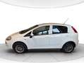Fiat Punto 1.4 natural power Street 70cv 5p METANO Bianco - thumbnail 2