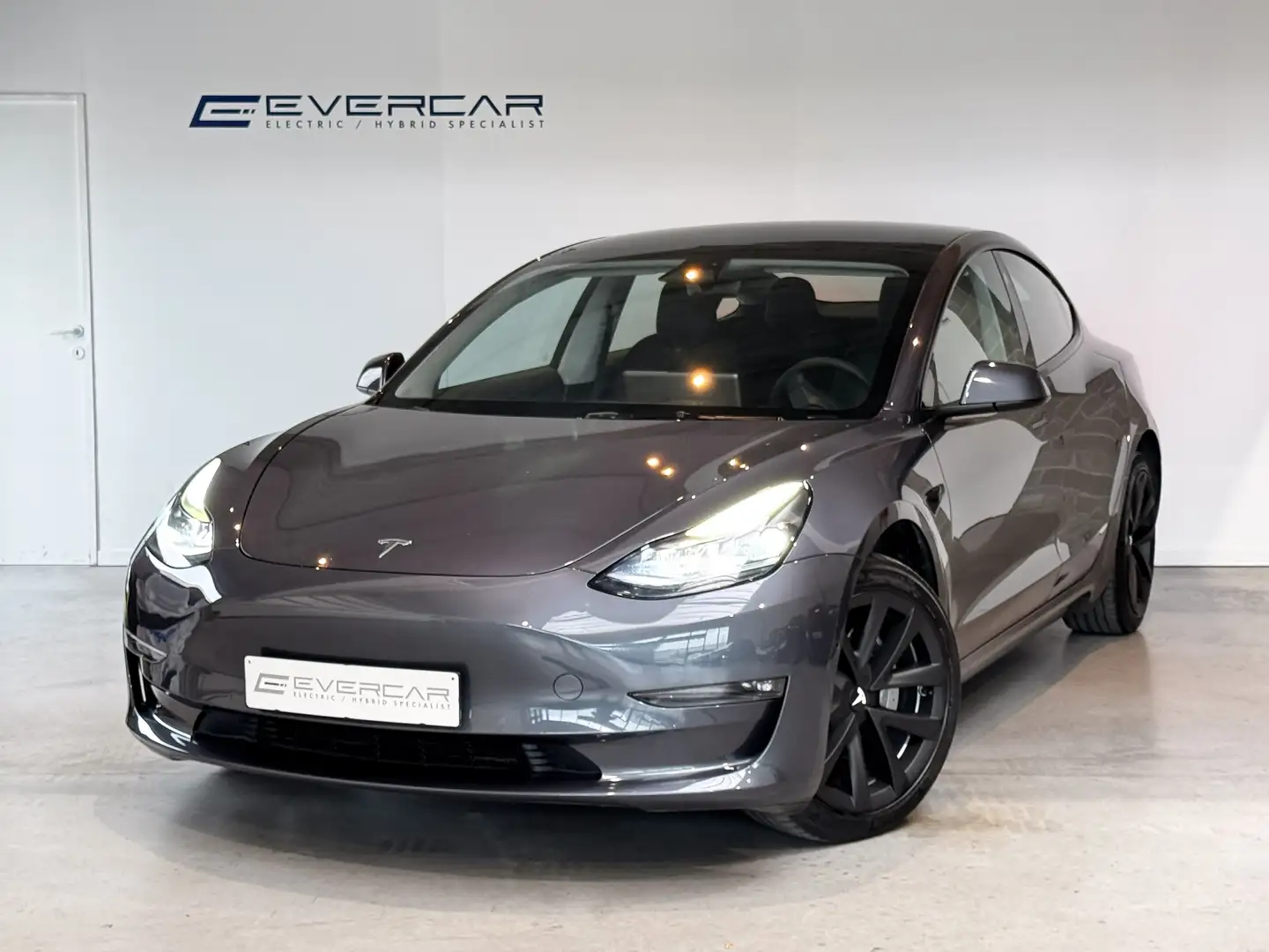 Tesla Model 3 Model 3 Long Range AWD **MATRIX*EL BOOTH** Gris - 1