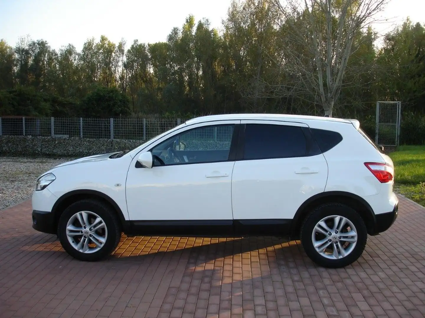 Nissan Qashqai 1.6 dCi 4WD INSERIBILE MOD EXLUSIVE Bianco - 2