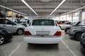 Mercedes-Benz S 300 W140  *H-Zulassung* Білий - thumbnail 5
