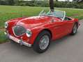 Austin-Healey 100 BN1 Rot - thumbnail 2