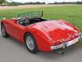 Austin-Healey 100 BN1 crvena - thumbnail 1