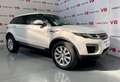 Land Rover Range Rover Evoque 2.0TD4 Pure 4WD 150 Weiß - thumbnail 4