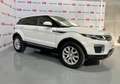 Land Rover Range Rover Evoque 2.0TD4 Pure 4WD 150 Weiß - thumbnail 2