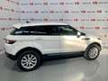 Land Rover Range Rover Evoque 2.0TD4 Pure 4WD 150 Weiß - thumbnail 5