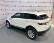Land Rover Range Rover Evoque 2.0TD4 Pure 4WD 150 Weiß - thumbnail 14