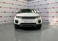 Land Rover Range Rover Evoque 2.0TD4 Pure 4WD 150 Weiß - thumbnail 7