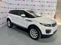 Land Rover Range Rover Evoque 2.0TD4 Pure 4WD 150 Weiß - thumbnail 16