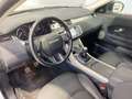 Land Rover Range Rover Evoque 2.0TD4 Pure 4WD 150 Weiß - thumbnail 19