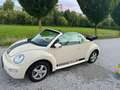 Volkswagen New Beetle New Beetle Cabrio Beige - thumbnail 15