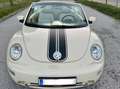 Volkswagen New Beetle New Beetle Cabrio Beige - thumbnail 14