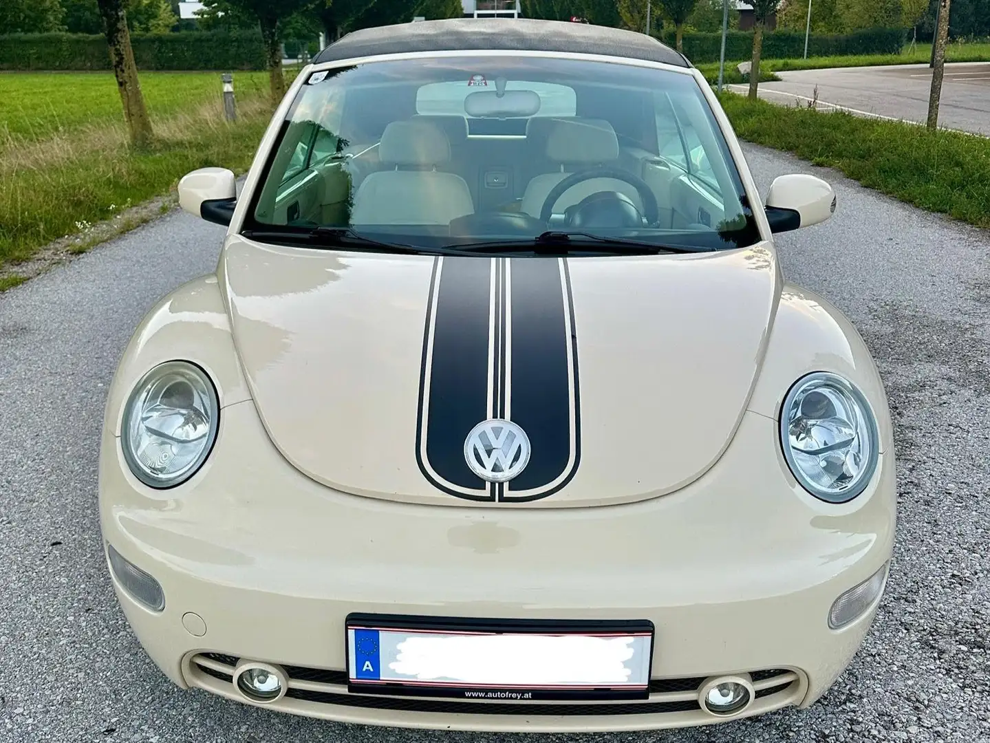 Volkswagen New Beetle New Beetle Cabrio Beige - 1