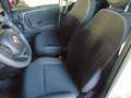 Fiat Panda 1.0 GSE Hybrid Cross Weiß - thumbnail 9