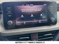 Skoda Scala 1.0 TSI DSG Tour LED SMART LINK KLIMAAUT KAM Rouge - thumbnail 24