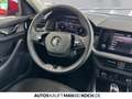 Skoda Scala 1.0 TSI DSG Tour LED SMART LINK KLIMAAUT KAM Rot - thumbnail 9