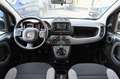 Fiat Panda 1.0 FireFly S&S Hybrid City Life Grigio - thumbnail 7