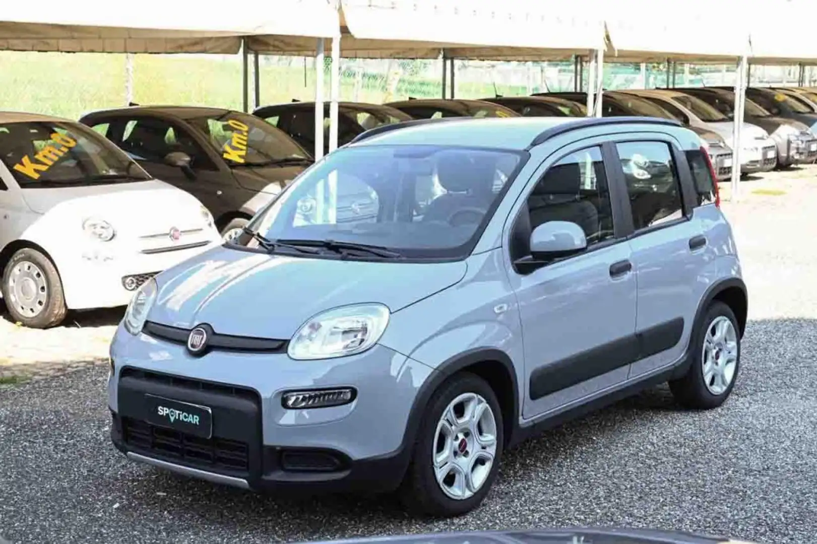 Fiat Panda 1.0 FireFly S&S Hybrid City Life Grigio - 1
