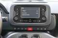 Fiat Panda 1.0 FireFly S&S Hybrid City Life Grigio - thumbnail 14