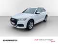 Audi Q5 40 TDI quattro S tronic S line LED*NAV*SHZ*PDC*... Weiß - thumbnail 1