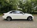 Mercedes-Benz E 250 E 250 CGI BlueEfficiency Weiß - thumbnail 8