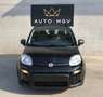 Fiat Panda Panda 1.0 firefly hybrid City Life s&s 70cv 5posti Nero - thumbnail 2