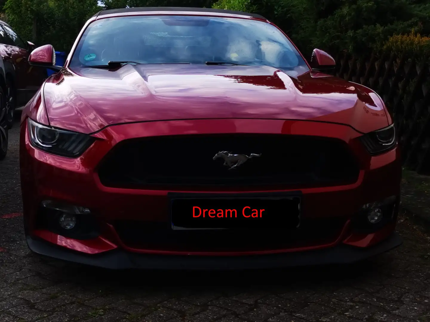 Ford Mustang Mustang 5.0 V8 - Sehr gepflegt, COC vorhanden, Rouge - 1