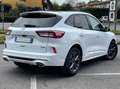 Ford Kuga 2.5 full hybrid ST-Line X 190cv *GARANZIA* Weiß - thumbnail 5