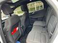 Ford Kuga 2.5 full hybrid ST-Line X 190cv *GARANZIA* Weiß - thumbnail 16