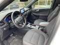 Ford Kuga 2.5 full hybrid ST-Line X 190cv *GARANZIA* Weiß - thumbnail 9