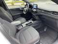 Ford Kuga 2.5 full hybrid ST-Line X 190cv *GARANZIA* Weiß - thumbnail 14