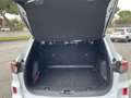 Ford Kuga 2.5 full hybrid ST-Line X 190cv *GARANZIA* Weiß - thumbnail 12